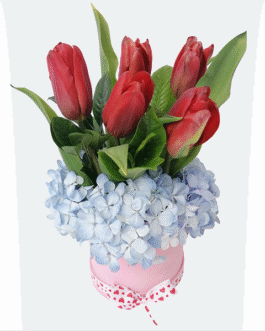 Box de 5 tulipanes y hortensias