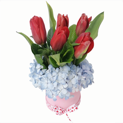 Box de 5 tulipanes y hortensias