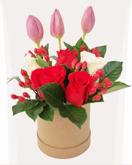 Box de 3 tulipanes