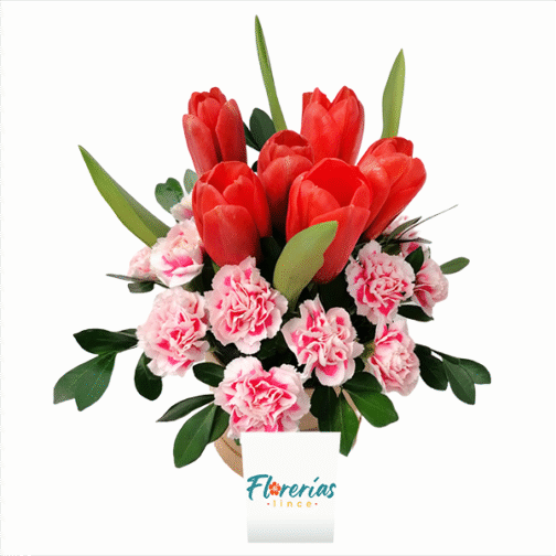 Ramo de 6 rosas y astromelias