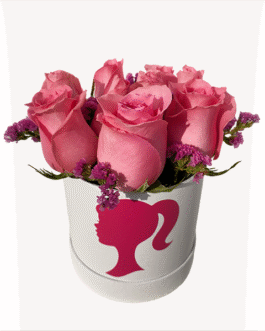 Box Barbie con 6 rosas y statice