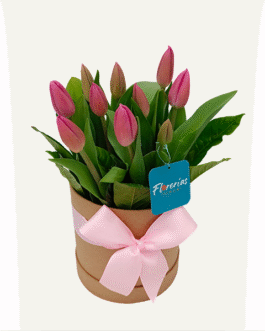 Box de 10 tulipanes