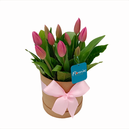 Box de 10 tulipanes