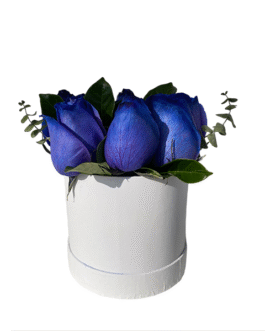 Box de 7 rosas azules