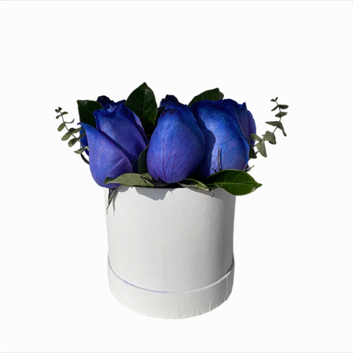 Box de 7 rosas azules