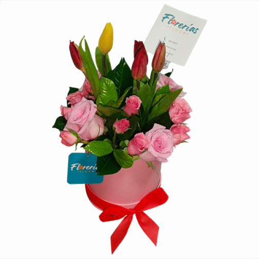 Box de 5 tulipanes