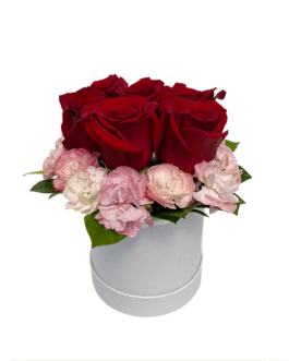Box de 6 rosas y claveles