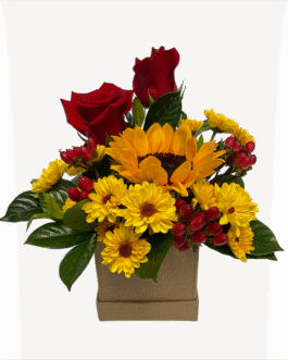 Box de un girasol