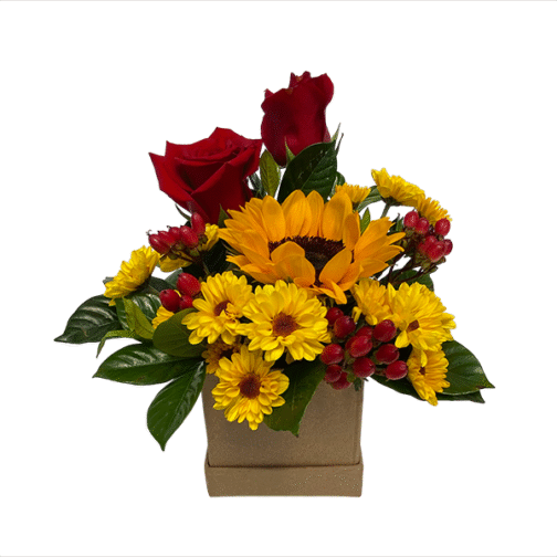 Box de un girasol