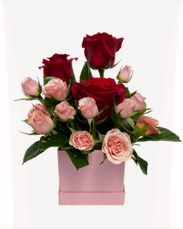 Box de 3 rosas y minirosas
