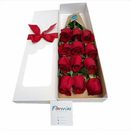 Caja de 12 rosas