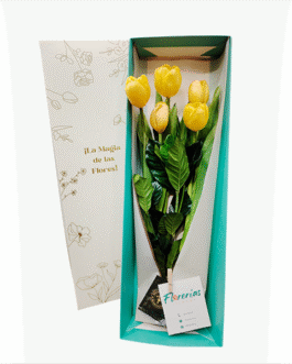 Caja de 5 tulipanes amarillos