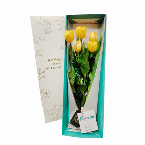 Caja de 5 tulipanes amarillos