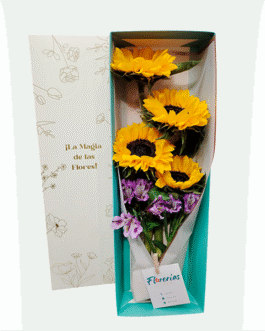 Caja de 4 girasoles y astromelias