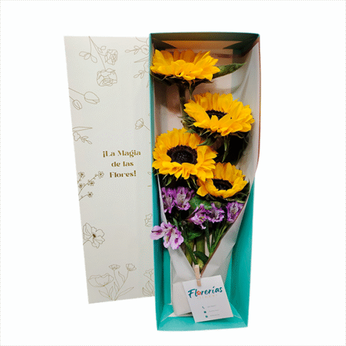 Caja de 4 girasoles y astromelias