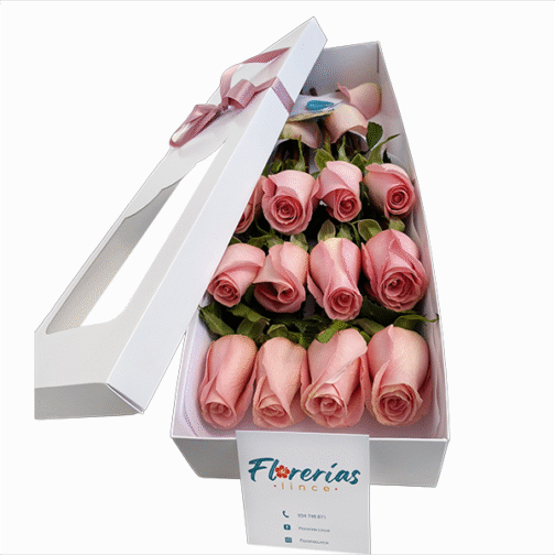 Caja de 12 rosas