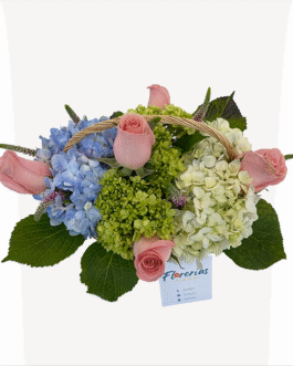 Canasta de hortensias con 5 rosas y verónicas