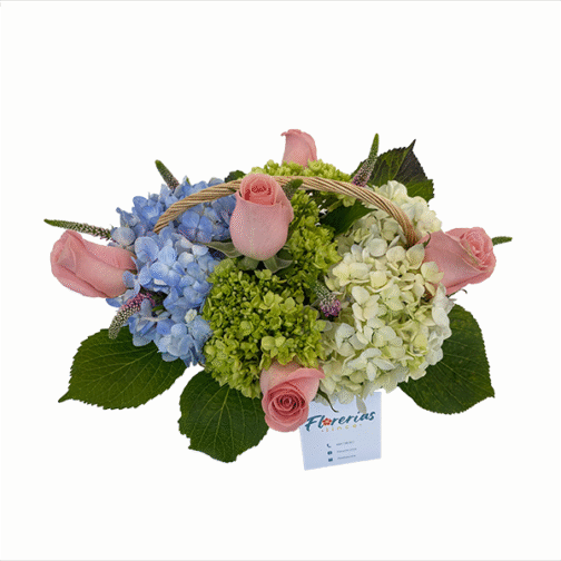 Canasta de hortensias con verónicas-