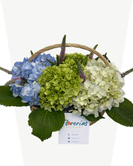 Caja de 6 rosas azules