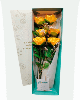 Caja de 6 rosas eternas
