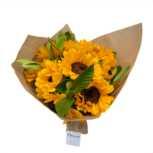 Ramo de 12 girasoles