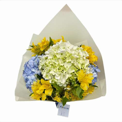 Ramo de 3 hortensias y astromelias