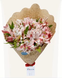 Ramo de 12 astromelias rosadas