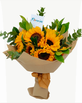 Ramo de 12 girasoles y silver dollar