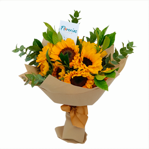Ramo de 12 girasoles y silver dollar