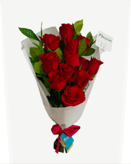 Ramo de 12 rosas