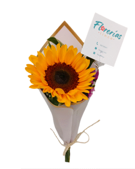 Ramo de una girasol