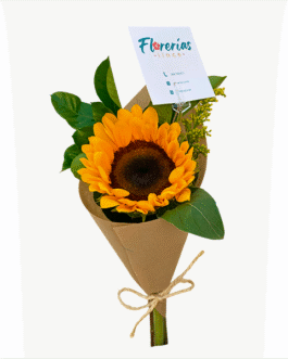Ramo de un girasol