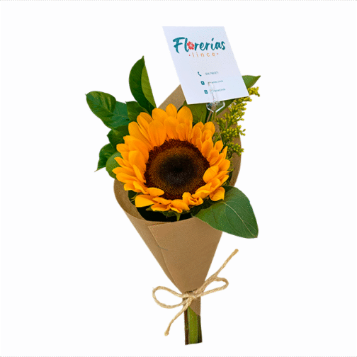 Ramo de un girasol