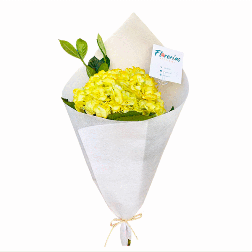 Ramo de una hortensia amarilla