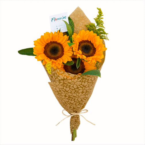 Ramo de 3 girasoles