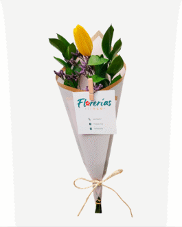 Ramo de un tulipán