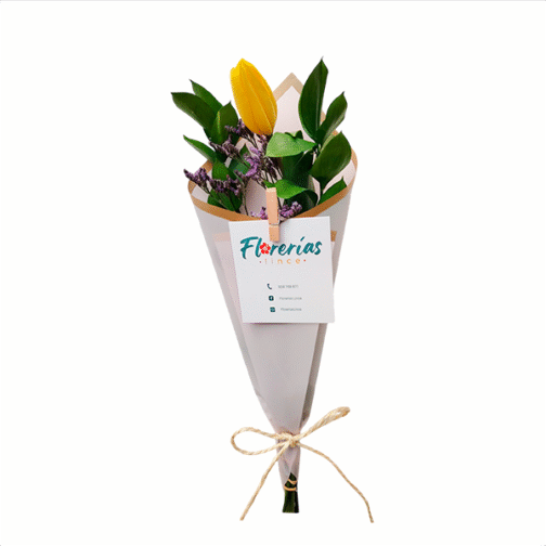 Ramo de un tulipán
