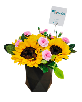 Box de 5 girasoles y claveles