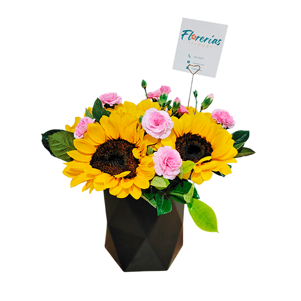 Box de 5 girasoles y claveles