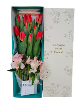 Caja de 10 tulipanes y astromelias