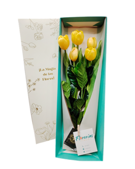 Caja de 5 tulipanes amarillos