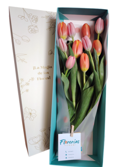 Caja de 10 tulipanes anaranjados