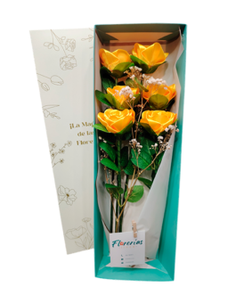 Caja de 6 rosas eternas