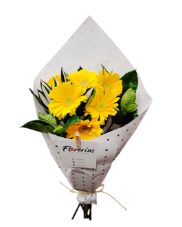 Ramo de 6 gerberas amarillas