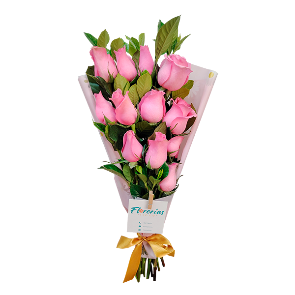 Ramo de 12 rosas rosadas