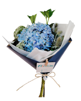 Ramo de una hortensia, erigios y copos de nieve