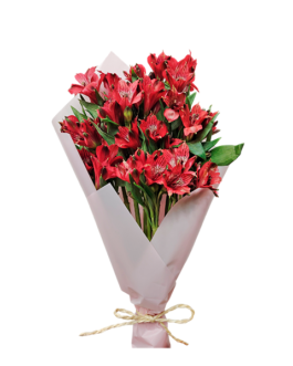 Ramo de 12 astromelias