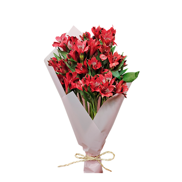 Ramo de 12 astromelias