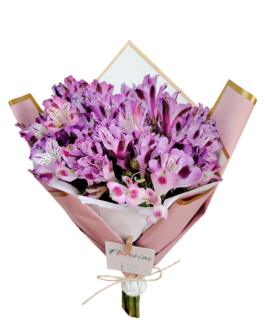 Ramo de 12 astromelias lilas